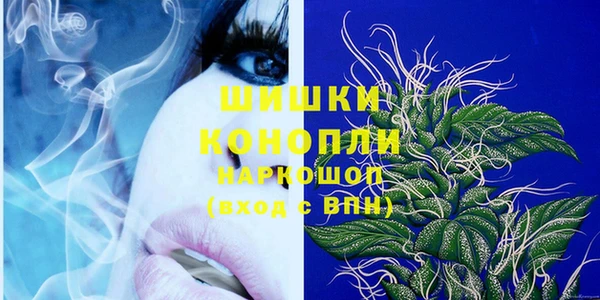 шишки Алексин