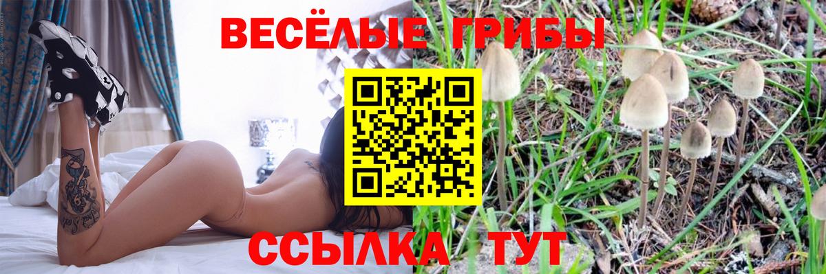Галлюциногенные грибы мухоморы Нарьян-Мар