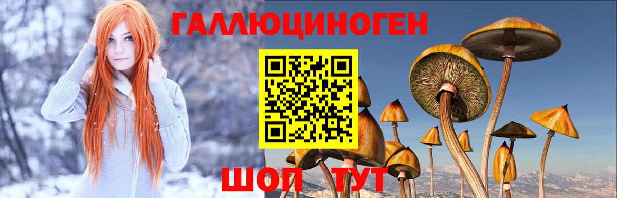 Нарьян-Мар  Галлюциногенные грибы мицелий  Вход с VPN 